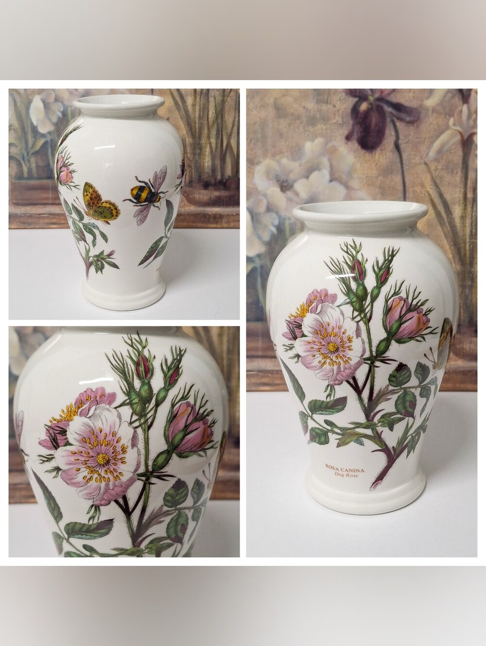 VTG Portmeirion Botanic Gardens Vase Rosa Canina Dog Rose